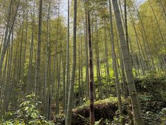 -黄公望隐居地