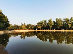 -森林公园(尖草坪区)