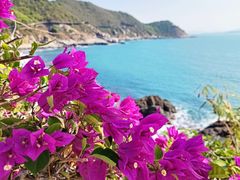 -三亚西岛海洋文化旅游区