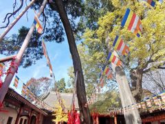 -少华山国家森林公园