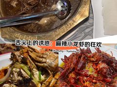 -怪怪龙虾·澳洲蓝龙上新(惊驾路店)