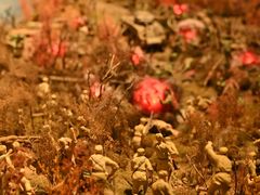 -中国闽台缘博物馆