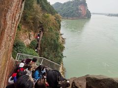 -小杨翘脚牛肉
