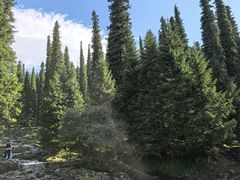 -新疆那拉提国家旅游度假区