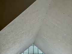 -四川大学博物馆