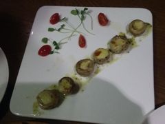 -百好乐宠物友好餐厅(朝外大街店)