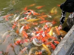 -珠海圆明新园