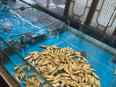 -印巷里主题餐厅(马鞍山店)