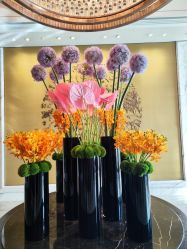 -巍阁高端月子会所