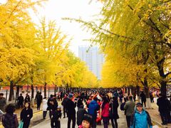 -辽宁大学(崇山校区)