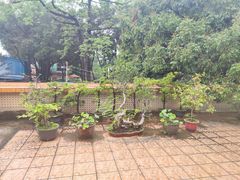 -壹零贰小馆(桂城石啃店)