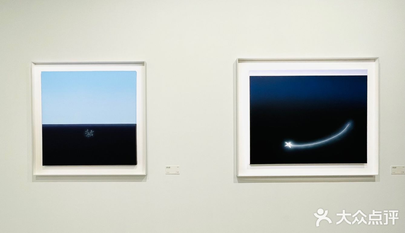 适度拟真｜贾志恒的视觉景观💚☘️