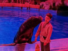 -芜湖新华联大白鲸海洋公园