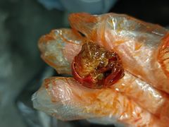 -鑫记婆婆兔·成都特产·兔头手撕兔(太古里店)