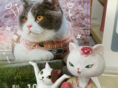 -宠颐生宠物医院外科·内科·皮肤科·影像科(石龙店)