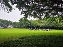 -广州雕塑公园