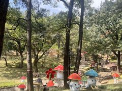 -沂蒙山旅游区云蒙景区(蒙山国家森林公园)