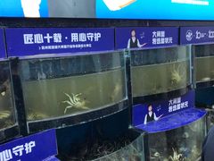 水产区-蟹状元大闸蟹·年货·粽子(成都成华店)