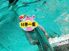 -花样年华游泳馆·游泳培训基地