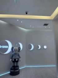 -G-SAGA形象设计