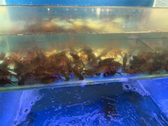 -阿财老铺·凤阳土菜馆