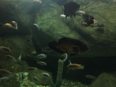 -苏州海洋馆