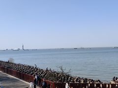 -上海滨江森林公园