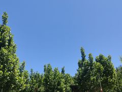 -海拉尔蒙古包(房山长阳总店)