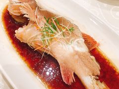 清蒸东星斑-成事园(兰溪店)