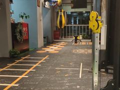 -M.S拳击泰拳馆(大学路店)