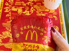 -麦当劳(花园北路店)