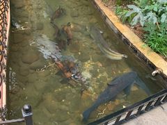 -九尊食上(生态园林酒店)