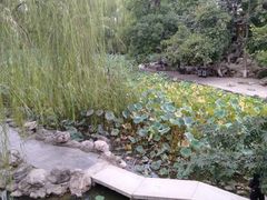 -莲湖公园