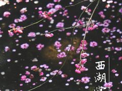 -杭州植物园
