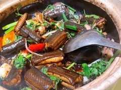黄鳝啫啫煲-惠食佳(滨江大公馆店)