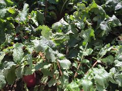 -糖潮量贩KTV(高新万达广场店)