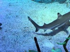 -沈阳海洋探索中心