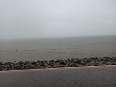 -深圳湾公园(南山区)