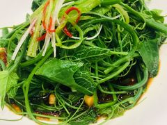 -巴依老爷新疆美食(望京小街店)