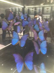 -酷嗒动物文化乐园(cutezoo西溪乐天城店)