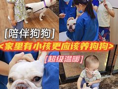 -瑞派紫金宠物医院24小时·骨科·中兽医·重症转诊中心(番禺大石院)