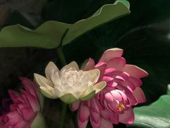-茅炒屋龙虾·烧烤·湘菜(新河路店)