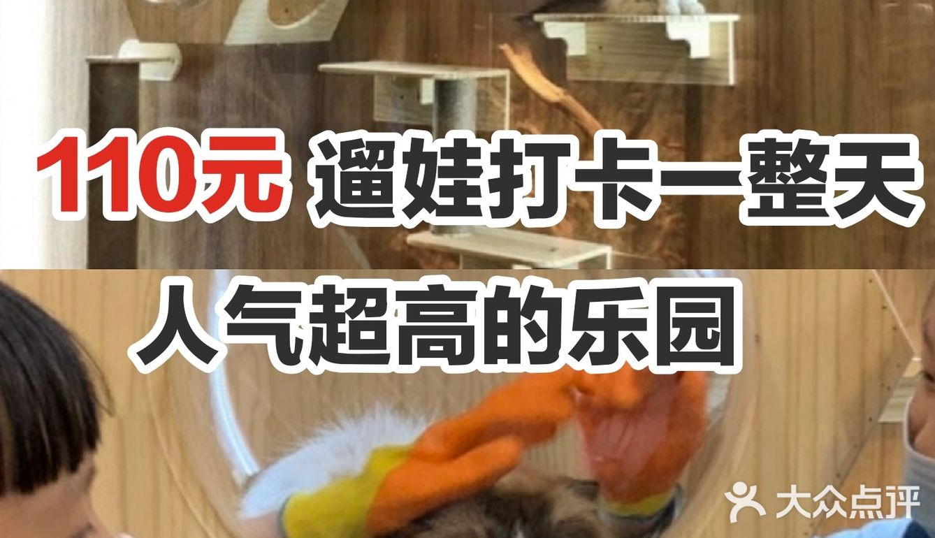 110元，溜娃打卡一整天，人气超高的乐园[胜利]