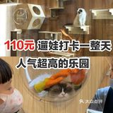 110元，溜娃打卡一整天，人气超高的乐园[胜利]
