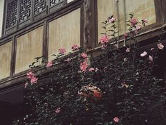 -海窝子古镇