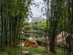 -深圳龙潭公园