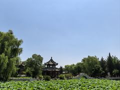 -莲池书院博物馆