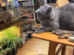 -Rabbit Cafe私房西餐甜点咖啡(栖霞路店)