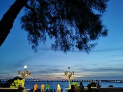 -宝安西湾红树林湿地公园