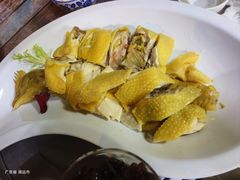 -食德喜·阳山鸡王食研基地
